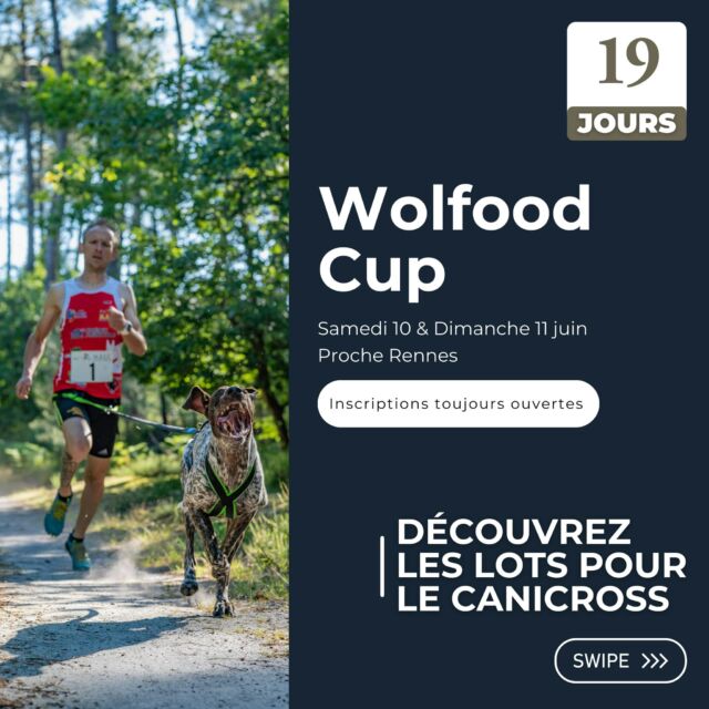 Courses – Wolfoods Training